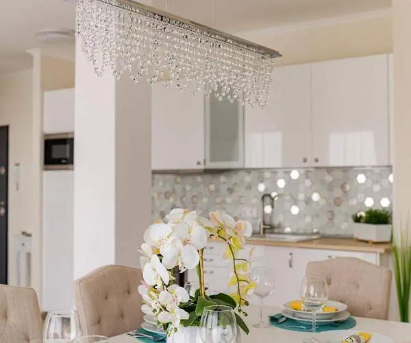公寓 Myflat Lux Penthouse 希欧福克
